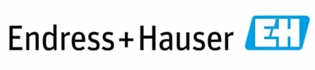 Endress+Hauser_result